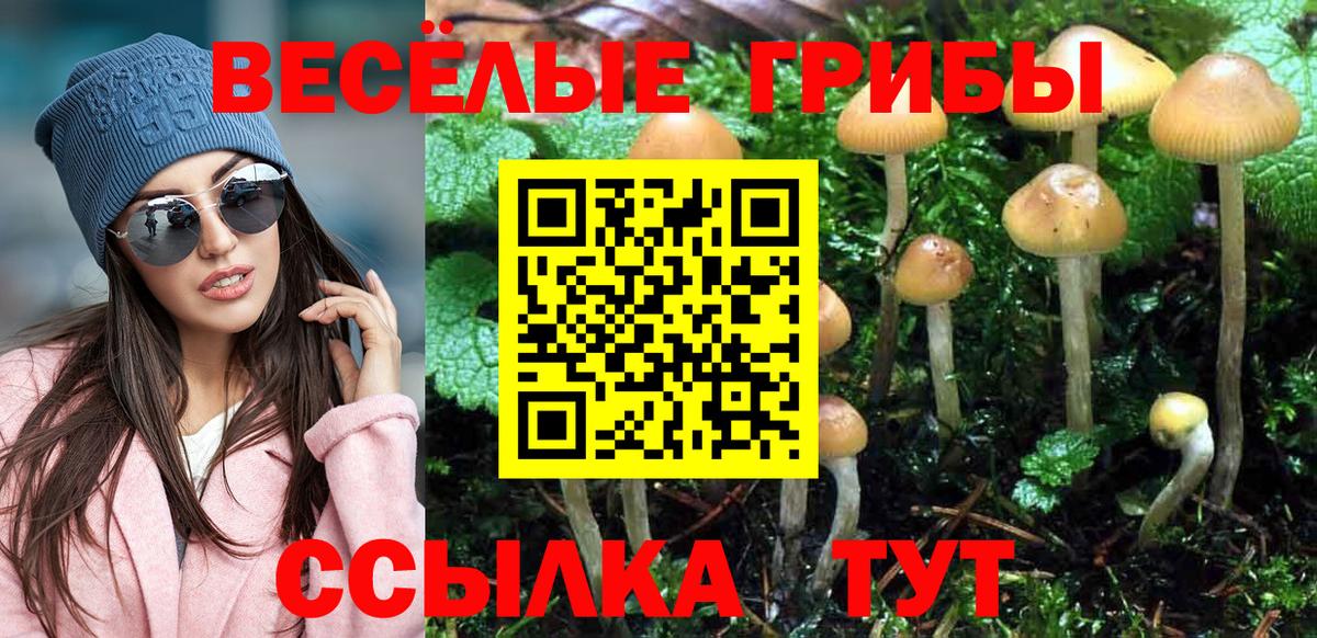 Галлюциногенные грибы Psilocybe  Вход с VPN  Кунгур 