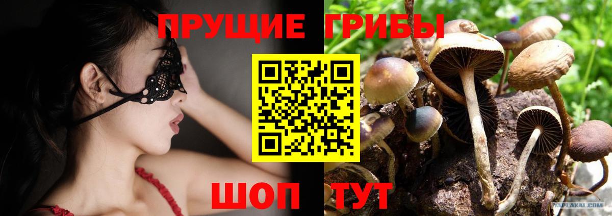 Галлюциногенные грибы мухоморы Кунгур